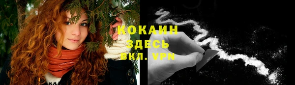 крисы Богородицк