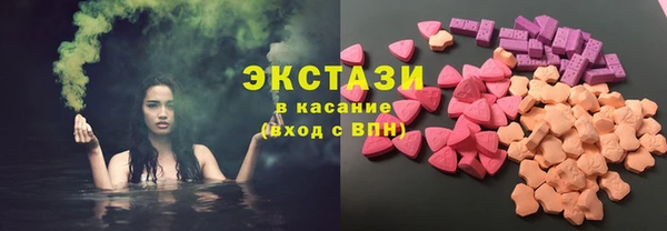 крисы Богородицк