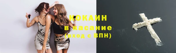крисы Богородицк