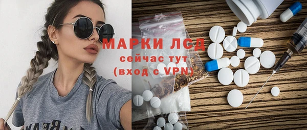 крисы Богородицк