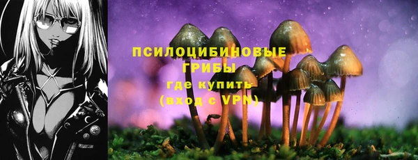 крисы Богородицк