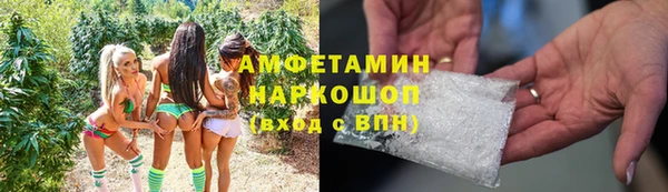 крисы Богородицк