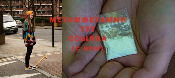 крисы Богородицк