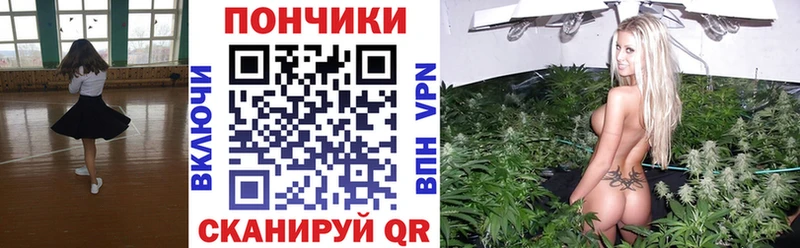 Бошки Шишки марихуана где купить наркотик Пионерский